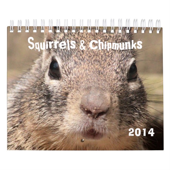 Squirrels & Chipmunks Calendar (Cover)