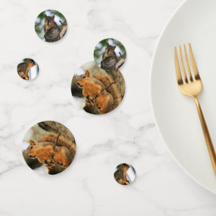 Squirrels Confetti