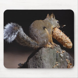 Squirrels Eating Tails Pinecones Mouse Pad