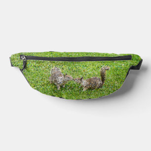 Squirrels fanny pack