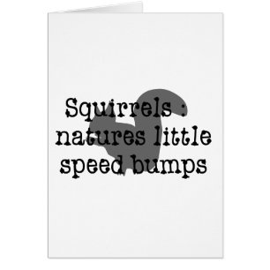 Squirrels : Natures Little Speedbumps