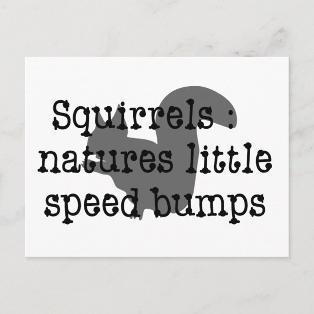 Squirrels : Natures Little Speedbumps Postcard (Front)