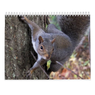 Squirrels of Saltus Fidelis Calendar