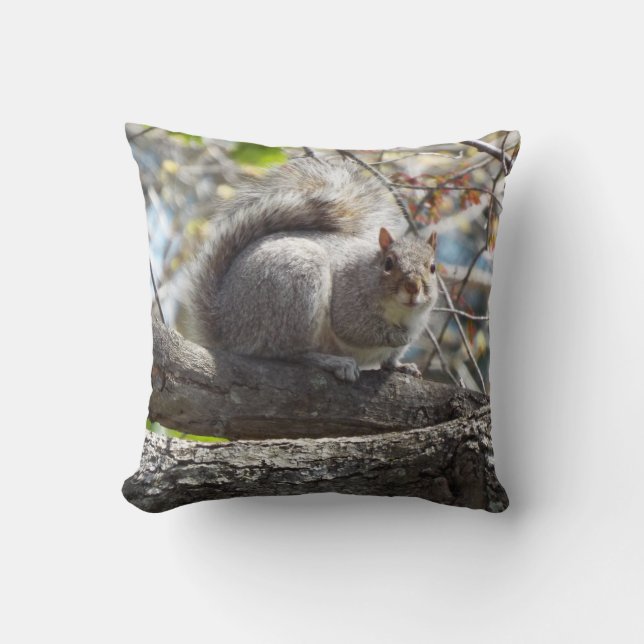 squirrels pillow (Front)