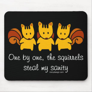 Squirrels steal my sanity mouse pad