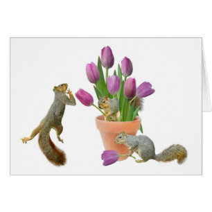 Squirrels with Tulips Card