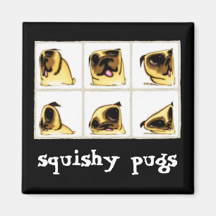 Squishy Pugs Magnet