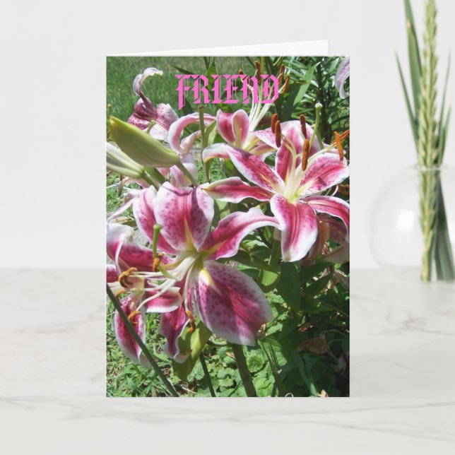 Srargazer Lilies/Friend Card (Front)