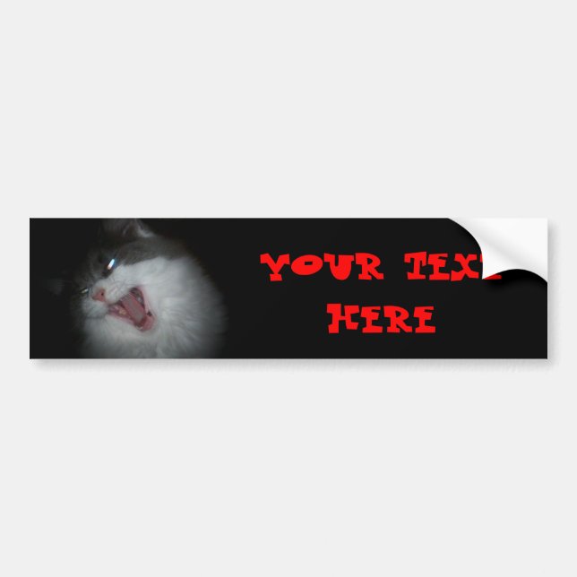 Sreaming cat customizible bumper sticker (Front)
