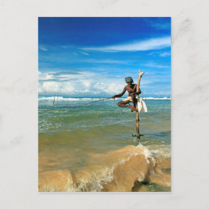 Sri Lanka stick fisherman Postcard
