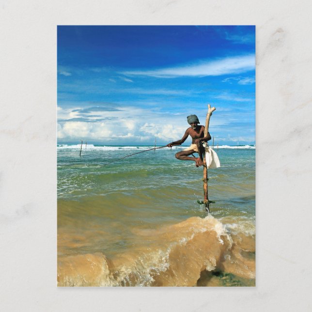 Sri Lanka stick fisherman Postcard (Front)