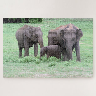 sri lankan elephant family jigsaw puzzle