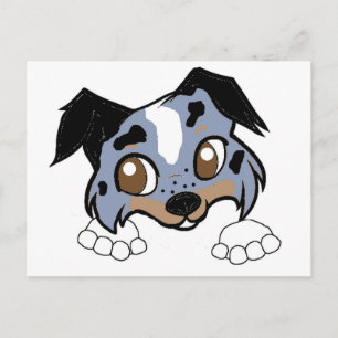 ss blue merle white and tan cartoon peeking postcard