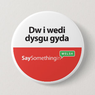 SSiW New Speaker Badge 3 Inch Round Button