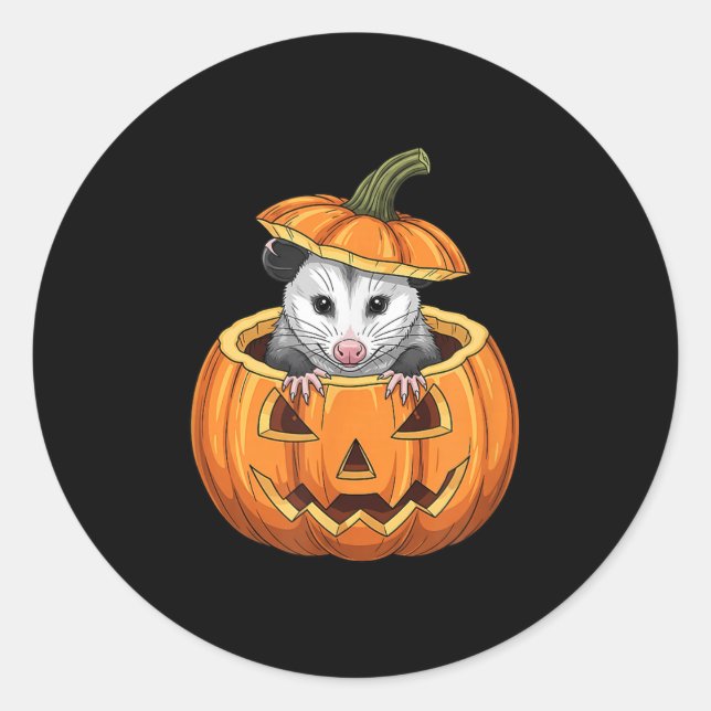Ssum Pumpkin - Funny Halloween  Classic Round Sticker (Front)
