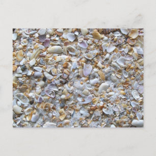St. Augustine Beach Sand and Tiny Shells Postcard