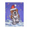 St. Bernard Christmas