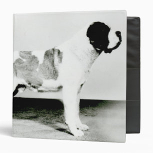 St. Bernard Dog Binder