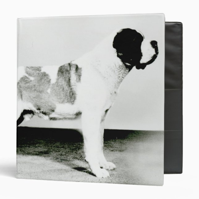 St. Bernard Dog Binder (Front/Inside)