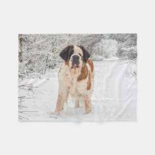 St Bernard dog fleece blanket