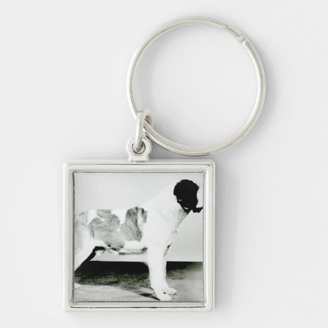 St. Bernard Dog Keychain (Front)