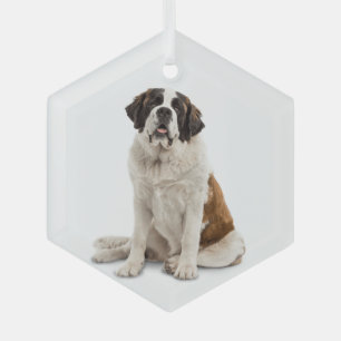 St. Bernard Dog Pet Animal  Glass Ornament