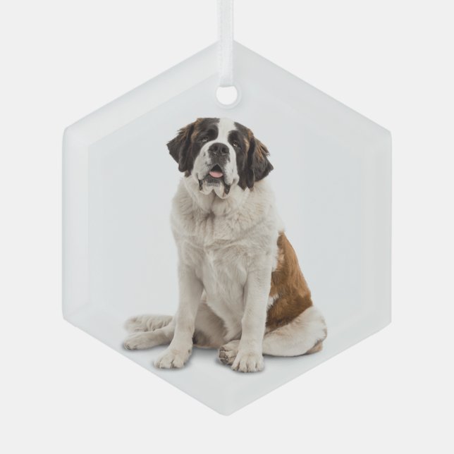 St. Bernard Dog Pet Animal  Glass Ornament (Front)