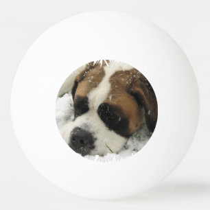 St Bernard Dog Ping Pong Ball