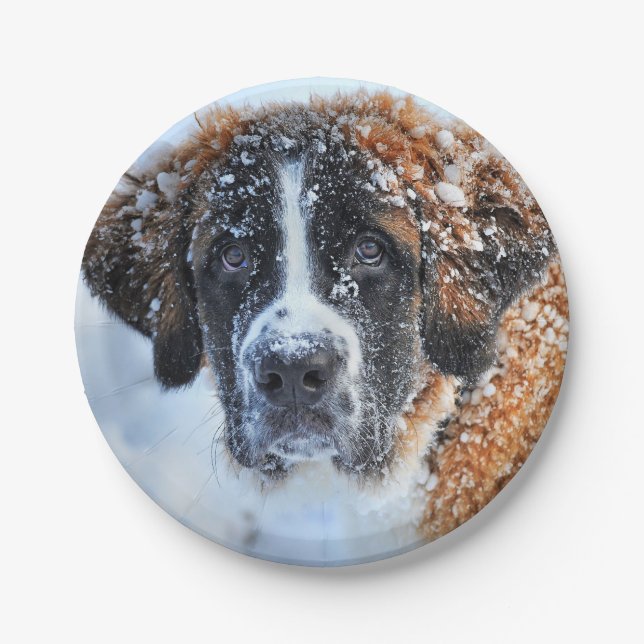 St Bernard in the Snow Paper Plate (Front)
