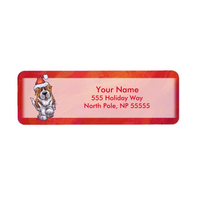 St Bernard Noël En Rouge (Devant)