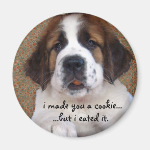 St Bernard Puppy Cookie Magnet