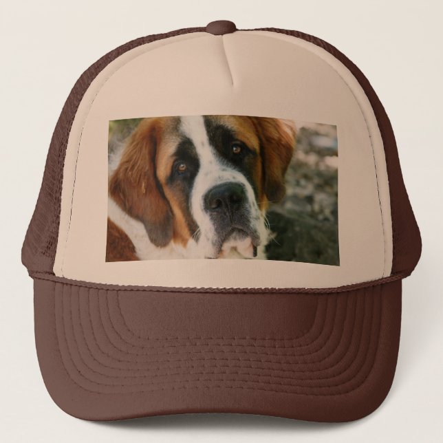 St. Bernard Trucker Hat (Front)