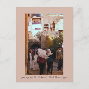 St. Catherine's Monastery, South Sinai, Egypt Postcard