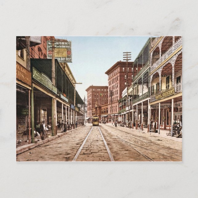 St. Charles Street New Orleans 1900 Postcard (Front)