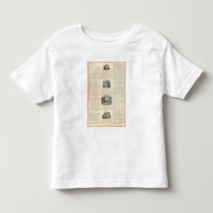 St Cloud Hotel, Westminster Hotel Toddler T-shirt