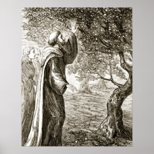 St. Columba changes bitter fruit into sweet, from Poster