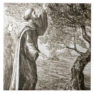 St. Columba changes bitter fruit into sweet, from Tile