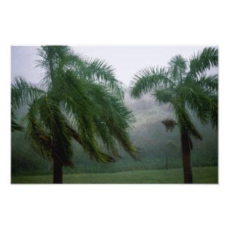 St. Croix Tempest Photo Print