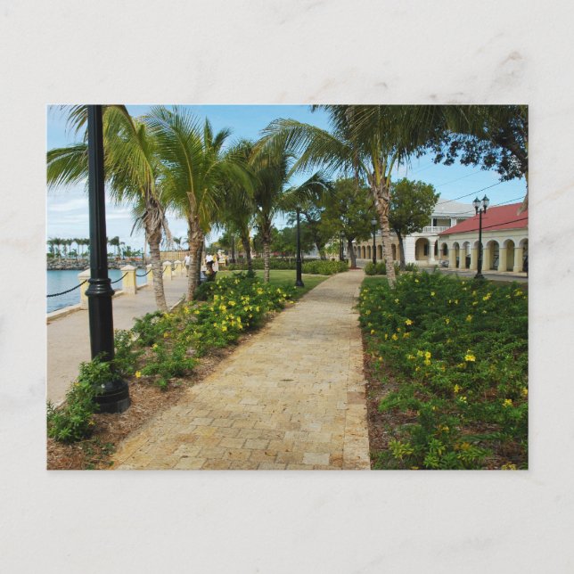 St. Croix, US Virgin Island Postcard (Front)