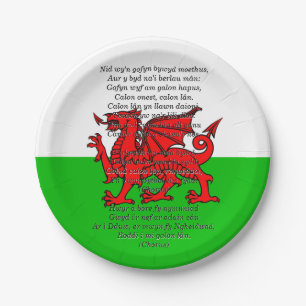 St Davids Day Christmas Calon Lân  7" Paper Plate