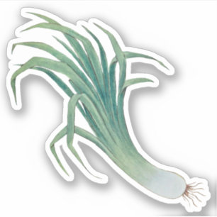 St. David's Day Leek Contour Sticker (fR)