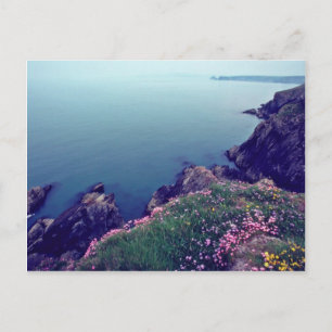 St David's Head, Westernmost Point Of Wales flower Postcard