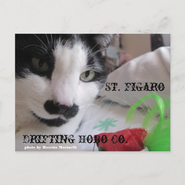 St. Figaro postcard (Front)