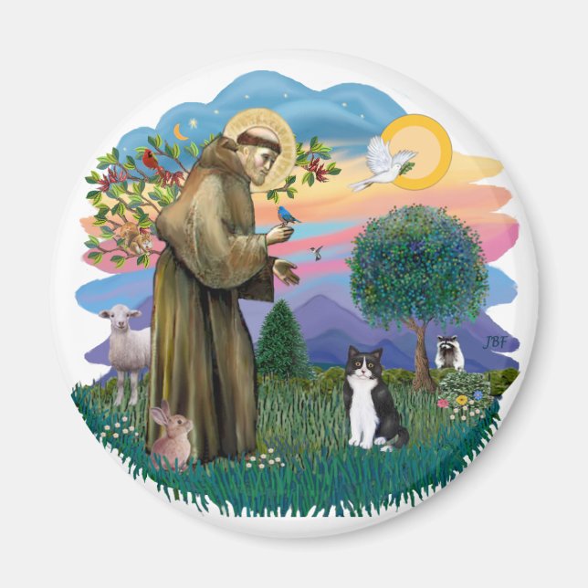 St Francis (ff) - Black and white cat Magnet (Front)