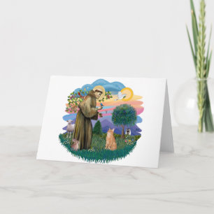 St Francis (ff) - Orange Tabby cat Card