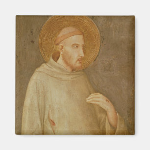 St. Francis Magnet