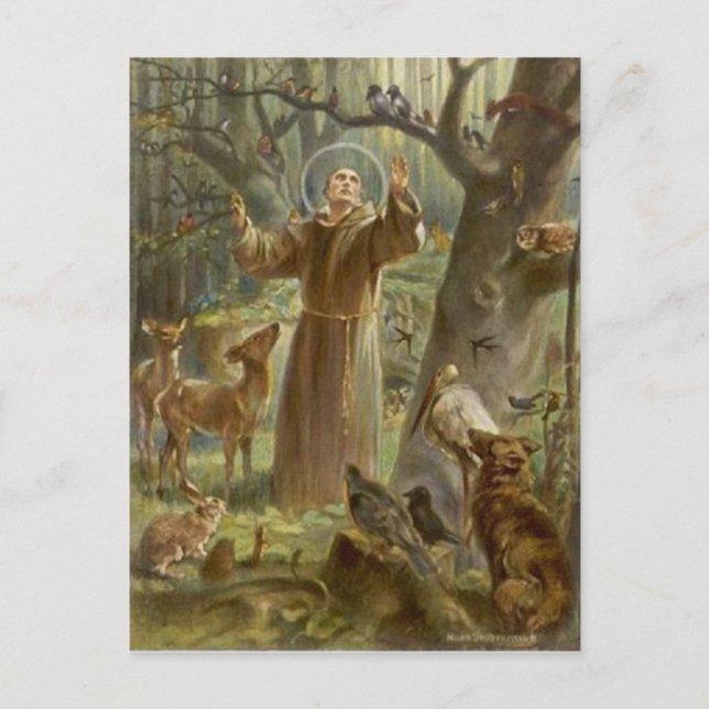St. Francis of Assisi Surrounded by Animals Postcard (Front)