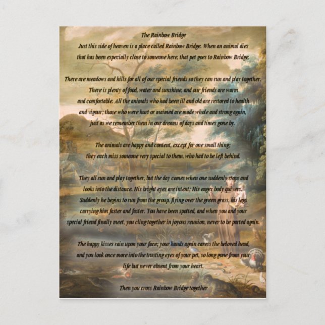 St. Francis of Assisi & The Rainbow Bridge Postcard (Front)