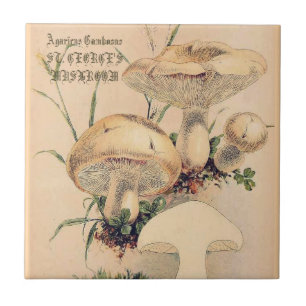 ST. GEORGE'S MUSHROOM   TILE