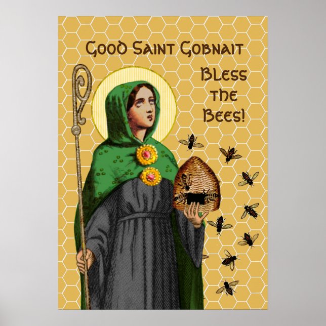St. Gobnait of Ballyvourney (SAE 003) Poster (Front)